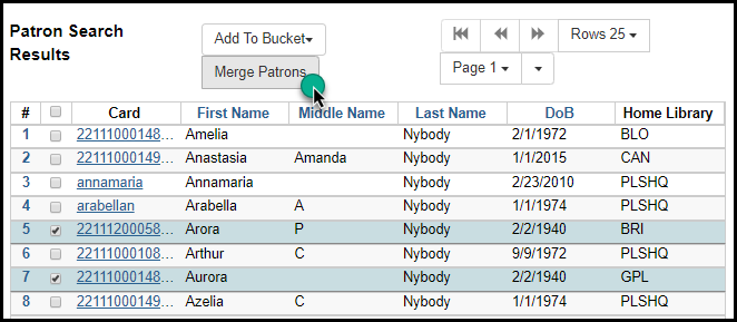 PatronSearch MergePatron 332.png